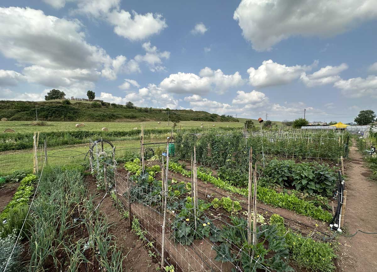 Roma, fine estate a tutta birra: due giorni di festa agricola al Divino Amore Roma, fine estate a tutta birra: due giorni di festa agricola al Divino Amore
