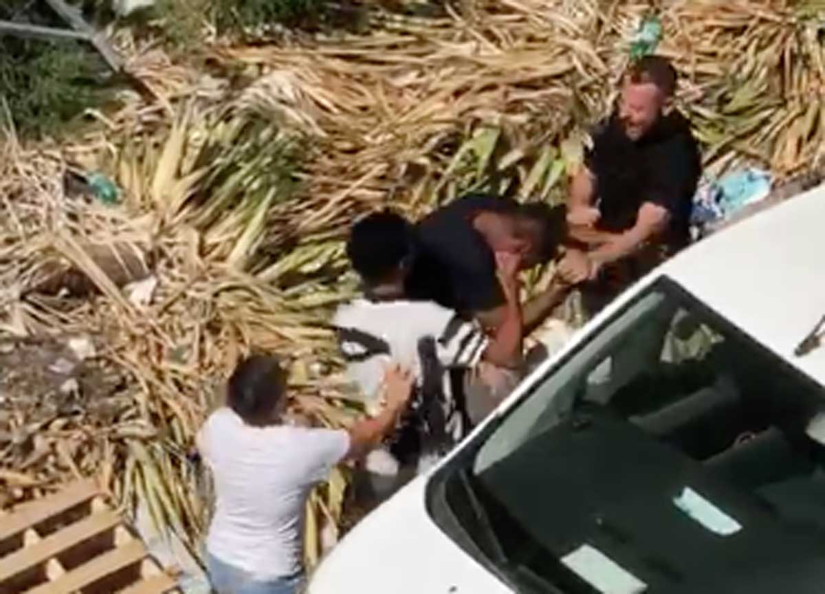 Roma, scippa un’anziana: pestato a calci e pugni. La gente esulta sul web Roma, scippa un’anziana: pestato a calci e pugni. La gente esulta sul web