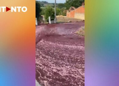 Incidente in distilleria: un fiume di vino rosso inonda le strade: il video incredibile