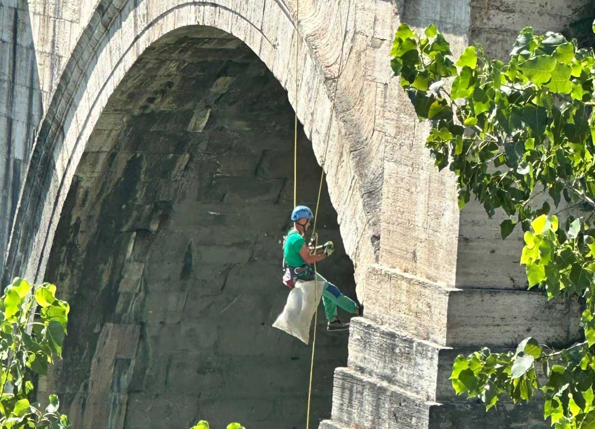 Potenza del Giubileo: dopo 8 anni gli acrobati puliscono il Ponte Sant’Angelo Potenza del Giubileo: dopo 8 anni gli acrobati puliscono il Ponte Sant’Angelo