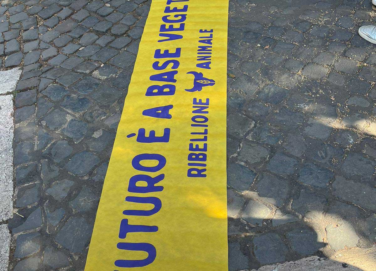 Roma, preparavano un blitz con fango e catene: denunciati cinque animalisti Roma, preparavano un blitz con fango e catene: denunciati cinque animalisti