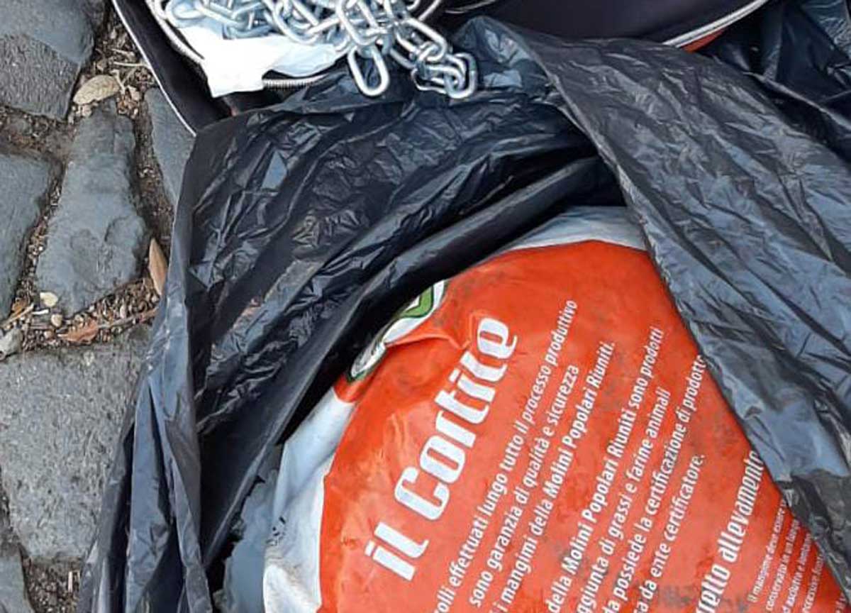 Roma, preparavano un blitz con fango e catene: denunciati cinque animalisti Roma, preparavano un blitz con fango e catene: denunciati cinque animalisti