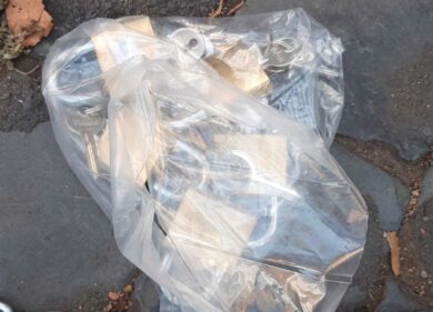 Roma, preparavano un blitz con fango e catene: denunciati cinque animalisti