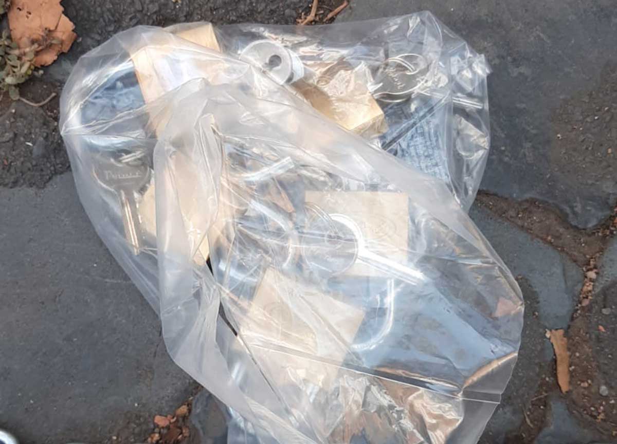 Roma, preparavano un blitz con fango e catene: denunciati cinque animalisti Roma, preparavano un blitz con fango e catene: denunciati cinque animalisti