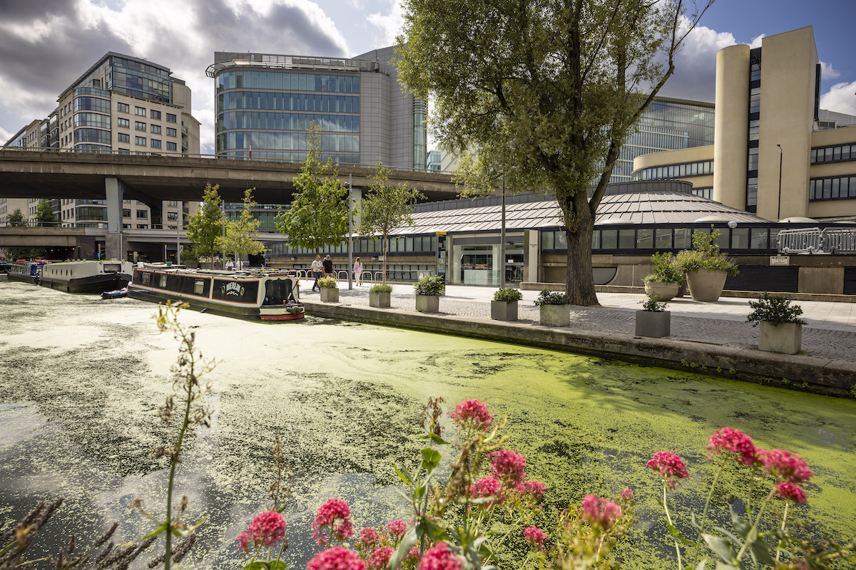 Nissan annuncia la svolta, in Europa venderemo solo auto elettriche