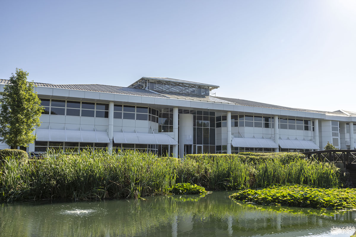 Nissan annuncia la svolta, in Europa venderemo solo auto elettriche