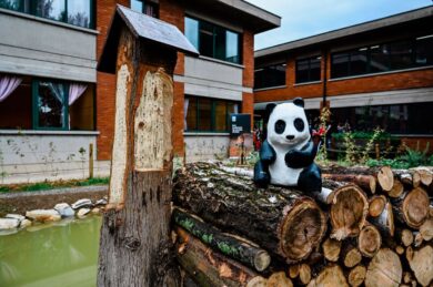 WWF, al via “Urban Nature” per incentivare il verde in città
