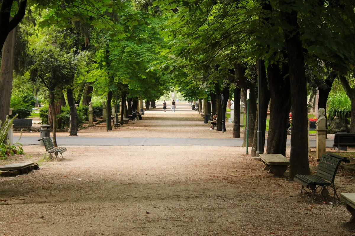 WWF, al via “Urban Nature” per incentivare il verde in città WWF, al via “Urban Nature” per incentivare il verde in città