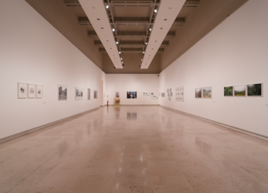 Terna, annunciati i vincitori del Premio Driving Energy 2023