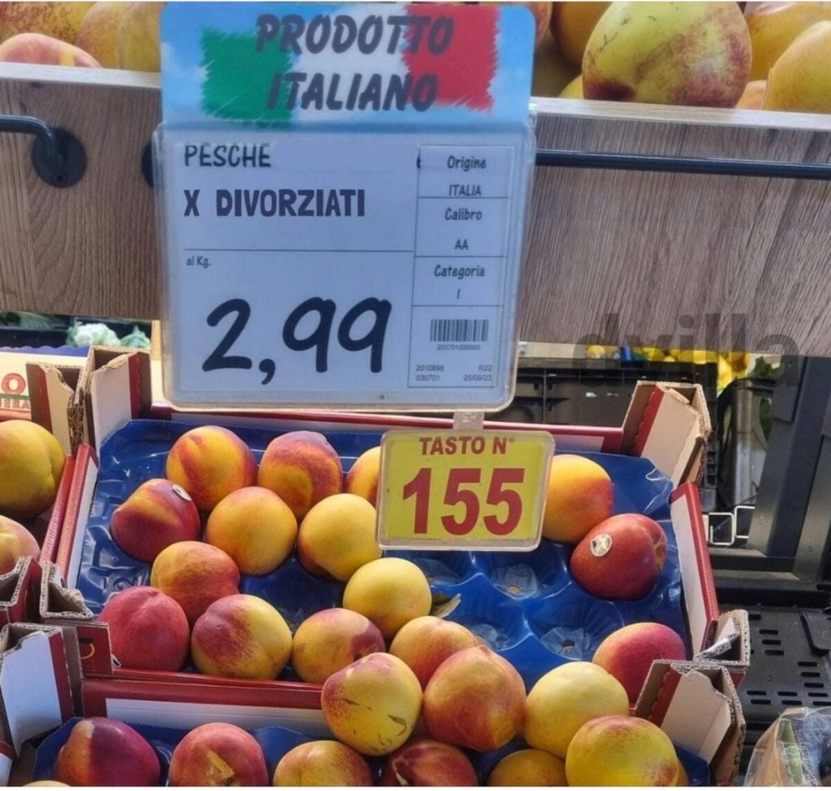 Affari in rete/ La Meloni lascia i meloni e prende la pesca Affari in rete/ La Meloni lascia i meloni e prende la pesca