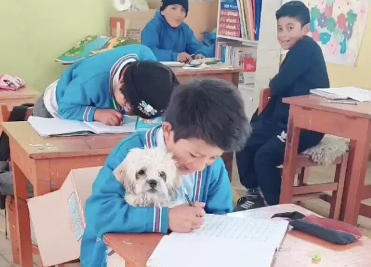 Bimbo porta il cane in classe per sentirsi meno solo: la maestra approva Bimbo porta il cane in classe per sentirsi meno solo: la maestra approva