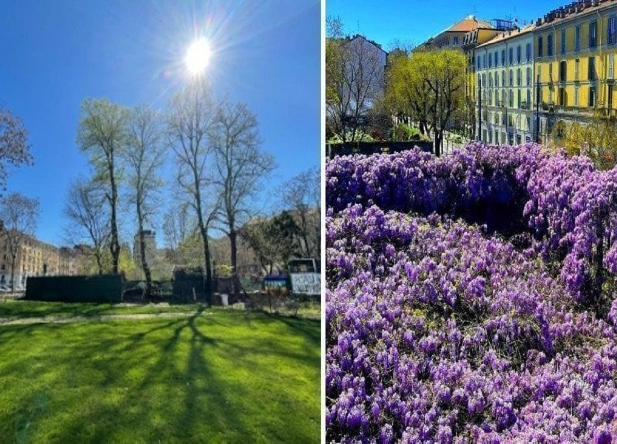 Museo della Resistenza di Milano, il piano per salvare le piante Museo della Resistenza di Milano, il piano per salvare le piante