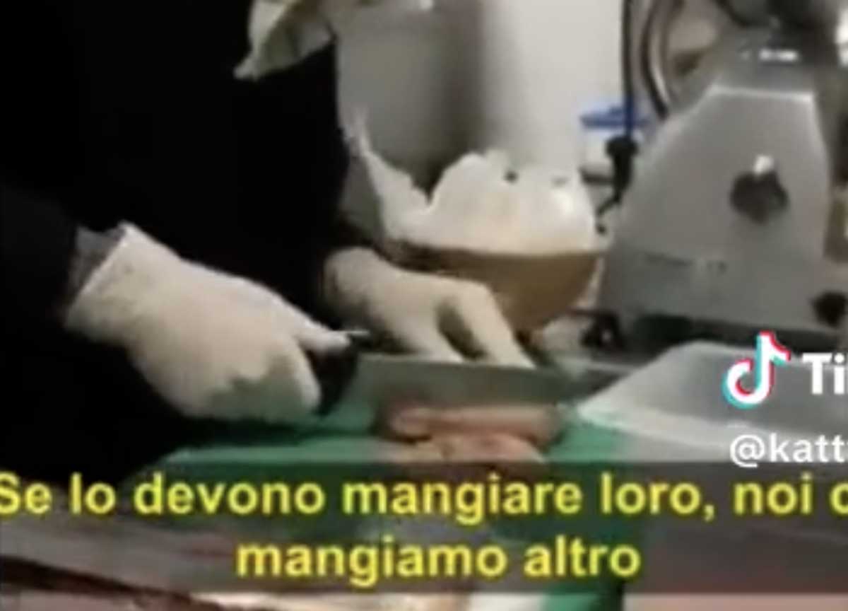 Roma, carne di cane in un ristorante cinese: il video shock dei due cuochi Roma, carne di cane in un ristorante cinese: il video shock dei due cuochi