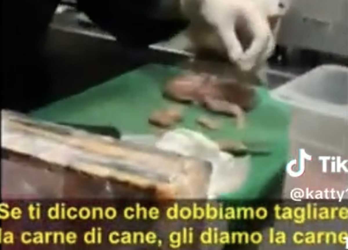 Roma, carne di cane in un ristorante cinese: il video shock dei due cuochi Roma, carne di cane in un ristorante cinese: il video shock dei due cuochi