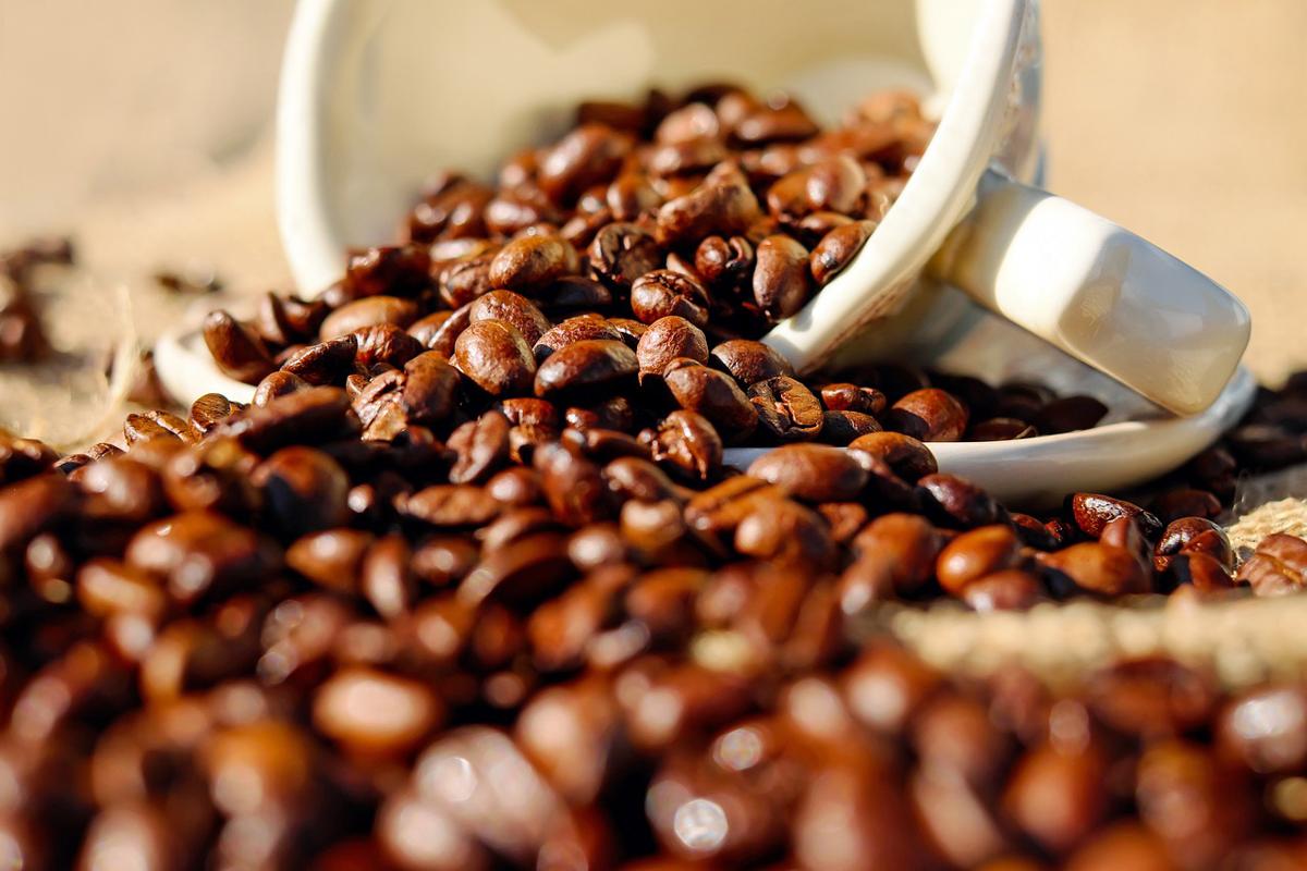 Caffè, 3 miliardi di tazzine consumate ogni giorno nel mondo Caffè, 3 miliardi di tazzine consumate ogni giorno nel mondo