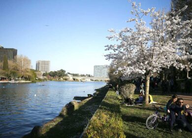 Senza presidente Eur spa vola, trimestrale record. E il Mef brinda agli utili