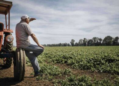 Agricoltori a rischio pvertà. Cia: 2000 in piazza a Roma, rincari del 500%