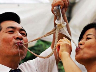 Mangia un polpo vivo e soffoca. Polemica furiosa