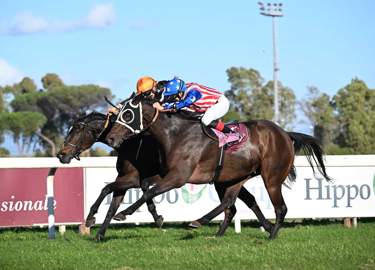 Capannelle, domenica amara per la cavalla di Allegri. Premio Roma a Flags’ Up