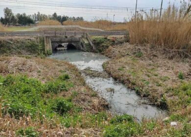 Piani di zona Ponte Galeria: condannato il Comune a risarcire le imprese