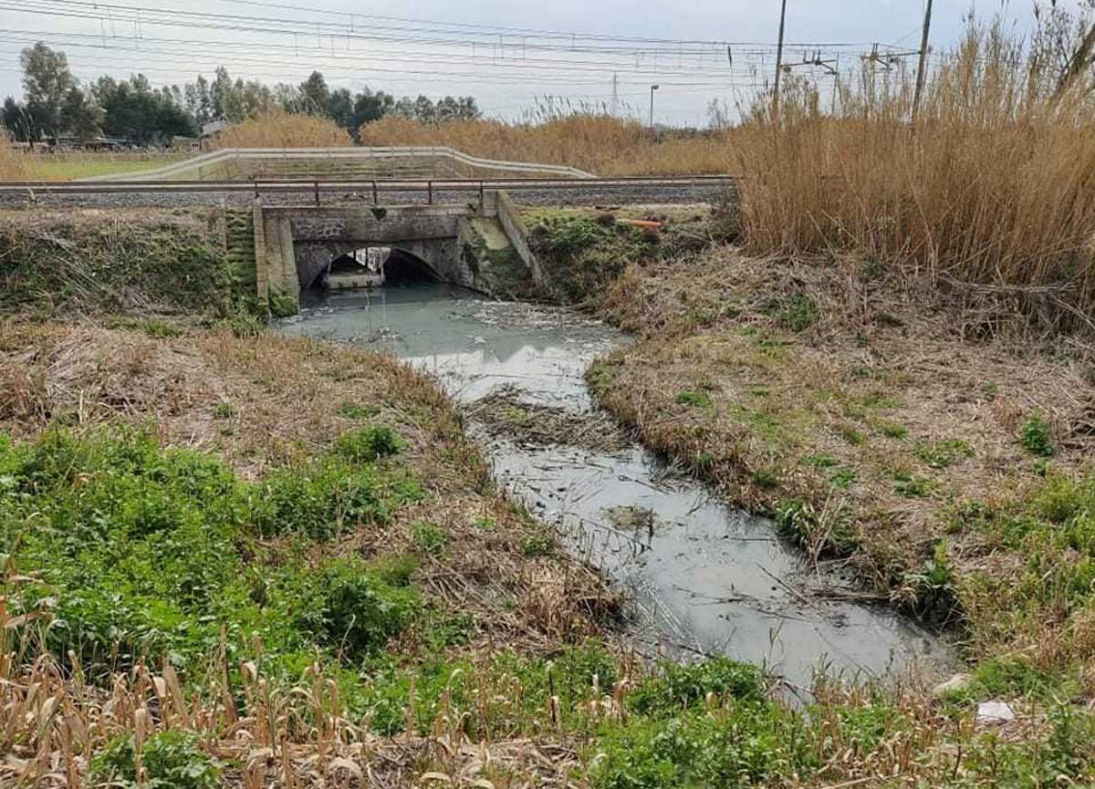 Piani di zona Ponte Galeria: condannato il Comune a risarcire le imprese Piani di zona Ponte Galeria: condannato il Comune a risarcire le imprese