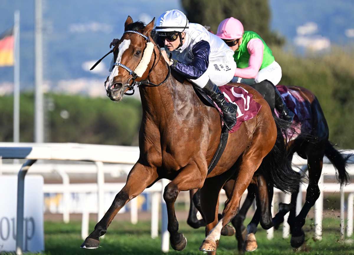 Capannelle, domenica amara per la cavalla di Allegri. Premio Roma a Flags’ Up