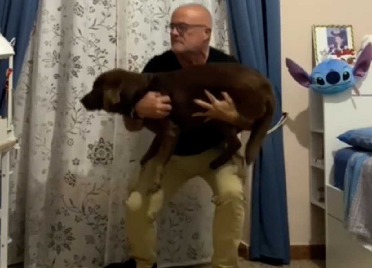 Prendere in braccio un cane di taglia medio grande: ecco svelato il trucco Prendere in braccio un cane di taglia medio grande: ecco svelato il trucco