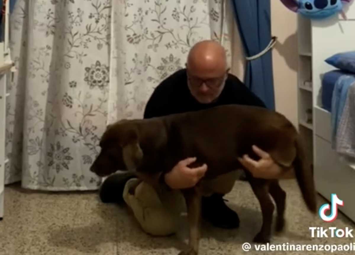 Prendere in braccio un cane di taglia medio grande: ecco svelato il trucco Prendere in braccio un cane di taglia medio grande: ecco svelato il trucco