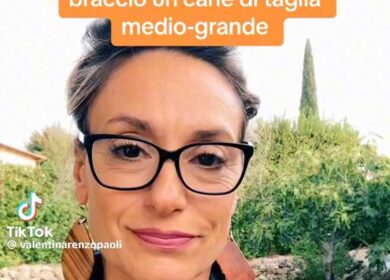 Prendere in braccio un cane di taglia medio grande: ecco svelato il trucco