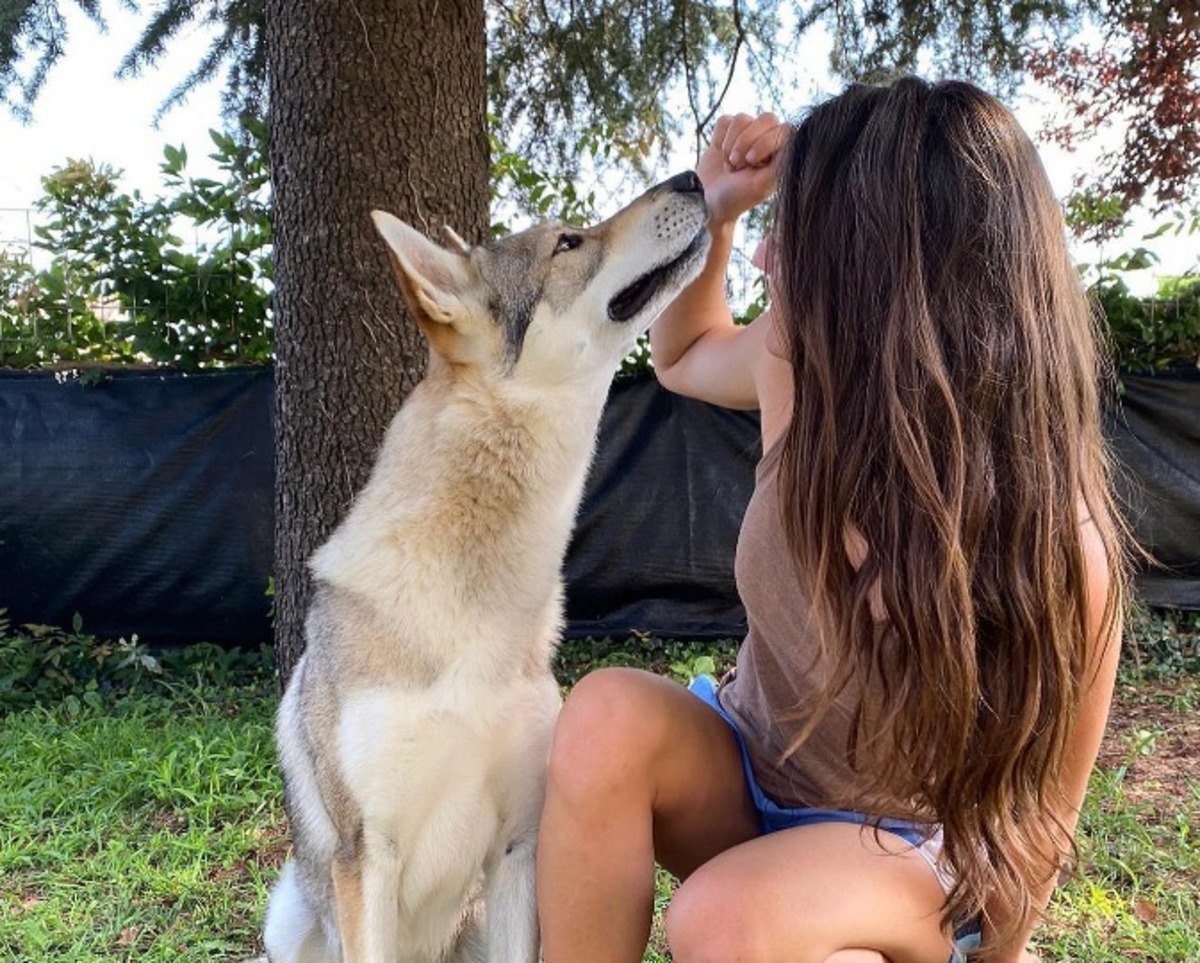 Arrestata in Arabia per uno spinello: liberata l’hostess Ilaria De Rosa