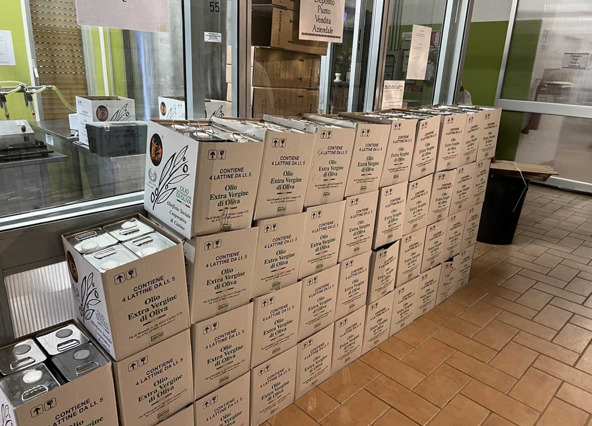 Il sacro olio, a Canino l’oleificio sociale in controtendenza: prezzi bloccati Il sacro olio, a Canino l’oleificio sociale in controtendenza: prezzi bloccati