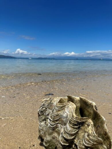 Nosy Be, la perla del Madagascar: viaggio nell’isola grande