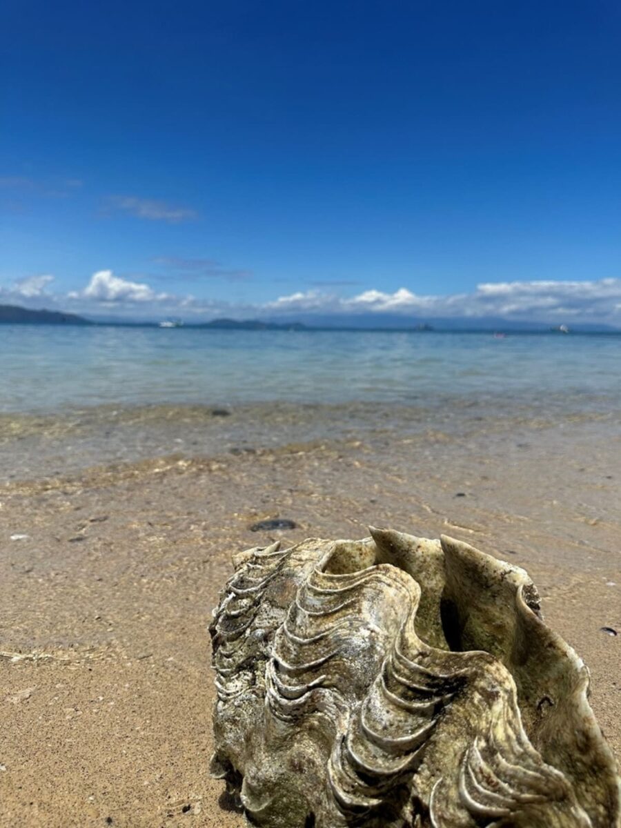Nosy Be, la perla del Madagascar: viaggio nell’isola grande Nosy Be, la perla del Madagascar: viaggio nell’isola grande