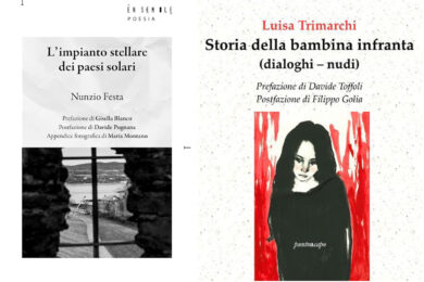 L’impianto stellare dei paesi solari e Storia della bambina infranta: le recensioni