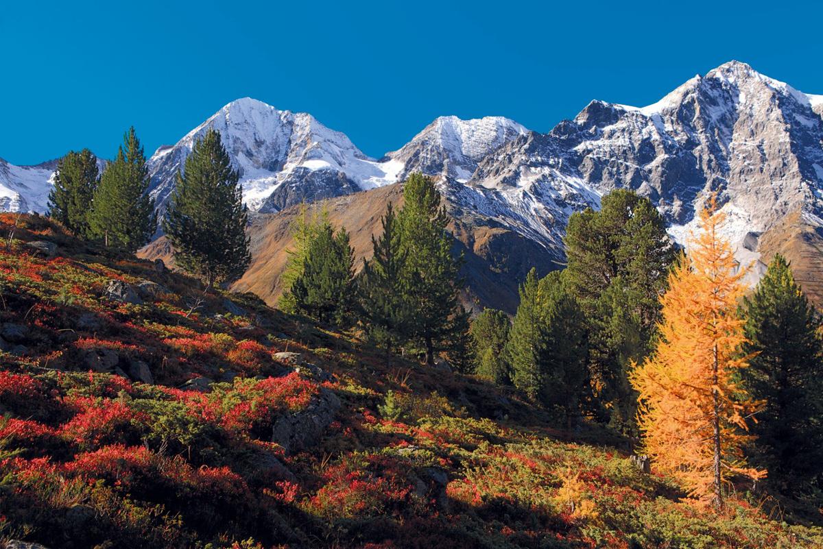 Alto Adige tra relax, Spa e sport: i cinque top Wellness Hotel per l’autunno Alto Adige tra relax, Spa e sport: i cinque top Wellness Hotel per l’autunno