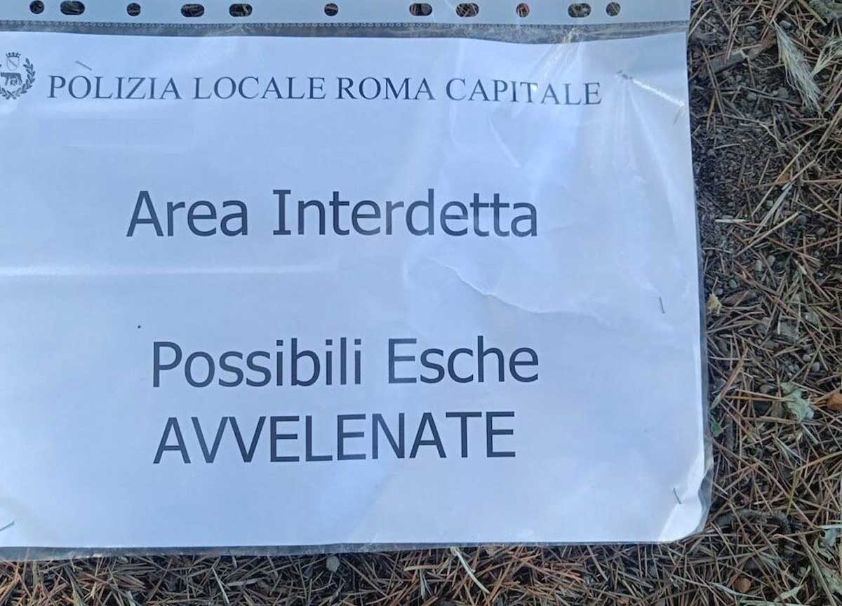 Polpette avvelenate al Parco degli Acquedotti: scatta la caccia all’uomo Polpette avvelenate al Parco degli Acquedotti: scatta la caccia all’uomo