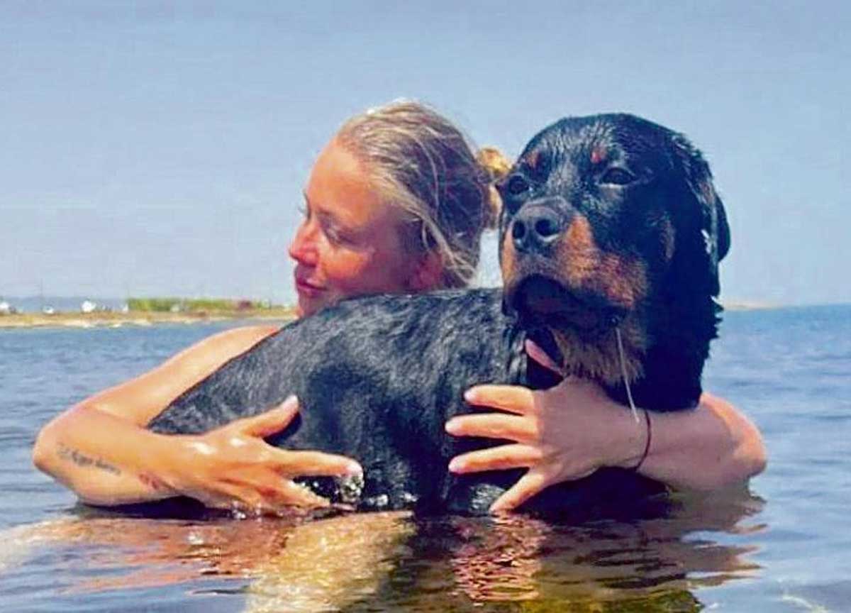 Rottweiler volato in via Frattina, la padrona di Cody: “Minacce sui social” Rottweiler volato in via Frattina, la padrona di Cody: “Minacce sui social”