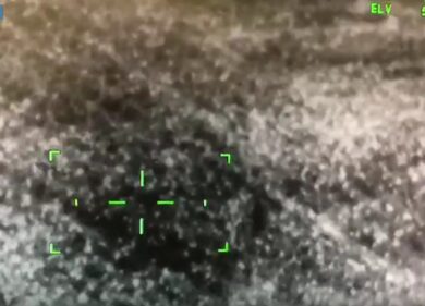 Leone fugge dal circo, terrore a Ladispoli. Cittadini in giro armati. Il video