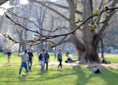 Meteo inverno 2023 2024: anomalie mai viste. Grandi sorprese