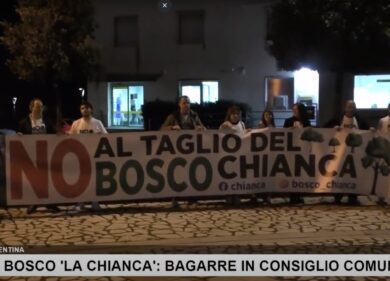 Taglio bosco Chianca, cittadini in rivolta: sospeso. Reportage Affari – VIDEO