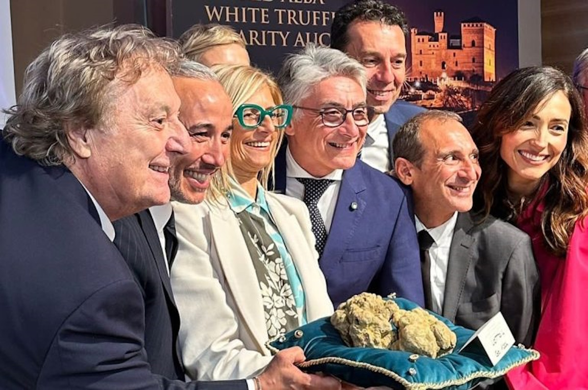 Tartufo da record venduto a Hong Kong: 130mila euro per 1 Kg Tartufo da record venduto a Hong Kong: 130mila euro per 1 Kg