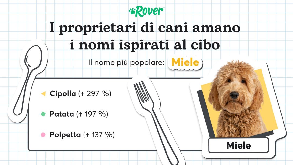 Effetto Mare Fuori: a Milano il nome più scelto per i cani è Tyson