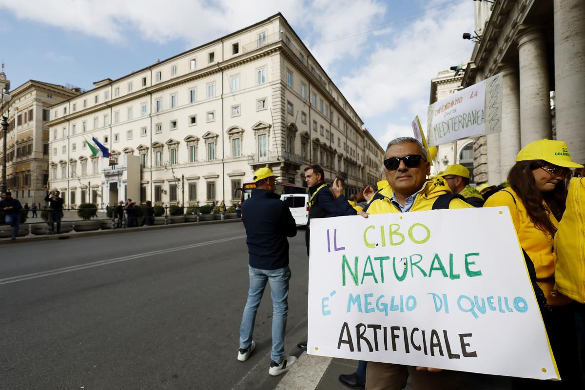 Lo stop alla carne coltivata è legge. L’Italia oscurantista scende in piazza Lo stop alla carne coltivata è legge. L’Italia oscurantista scende in piazza