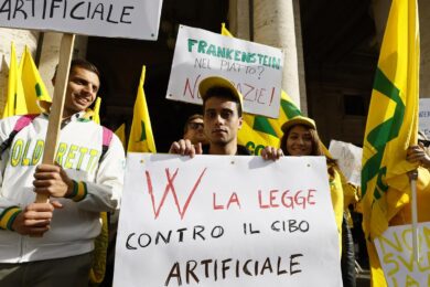 Lo stop alla carne coltivata è legge. L’Italia oscurantista scende in piazza