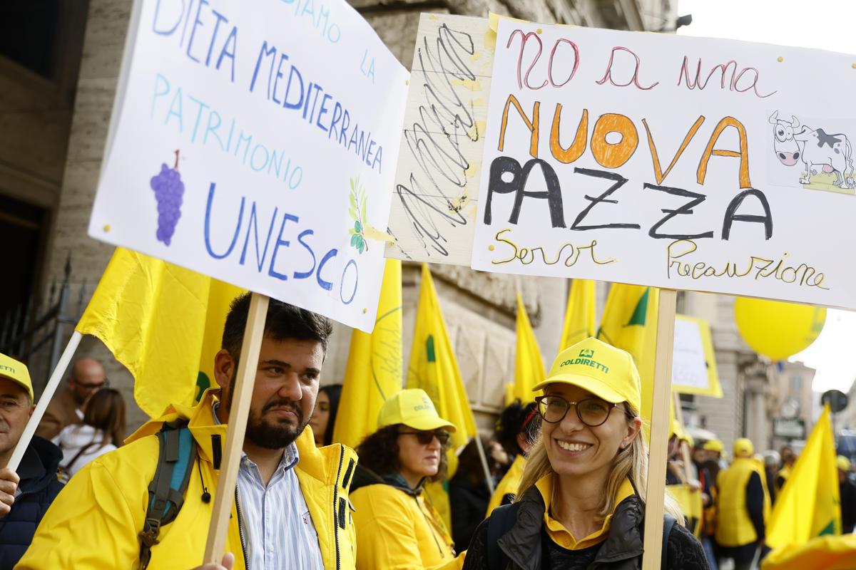 Lo stop alla carne coltivata è legge. L’Italia oscurantista scende in piazza Lo stop alla carne coltivata è legge. L’Italia oscurantista scende in piazza