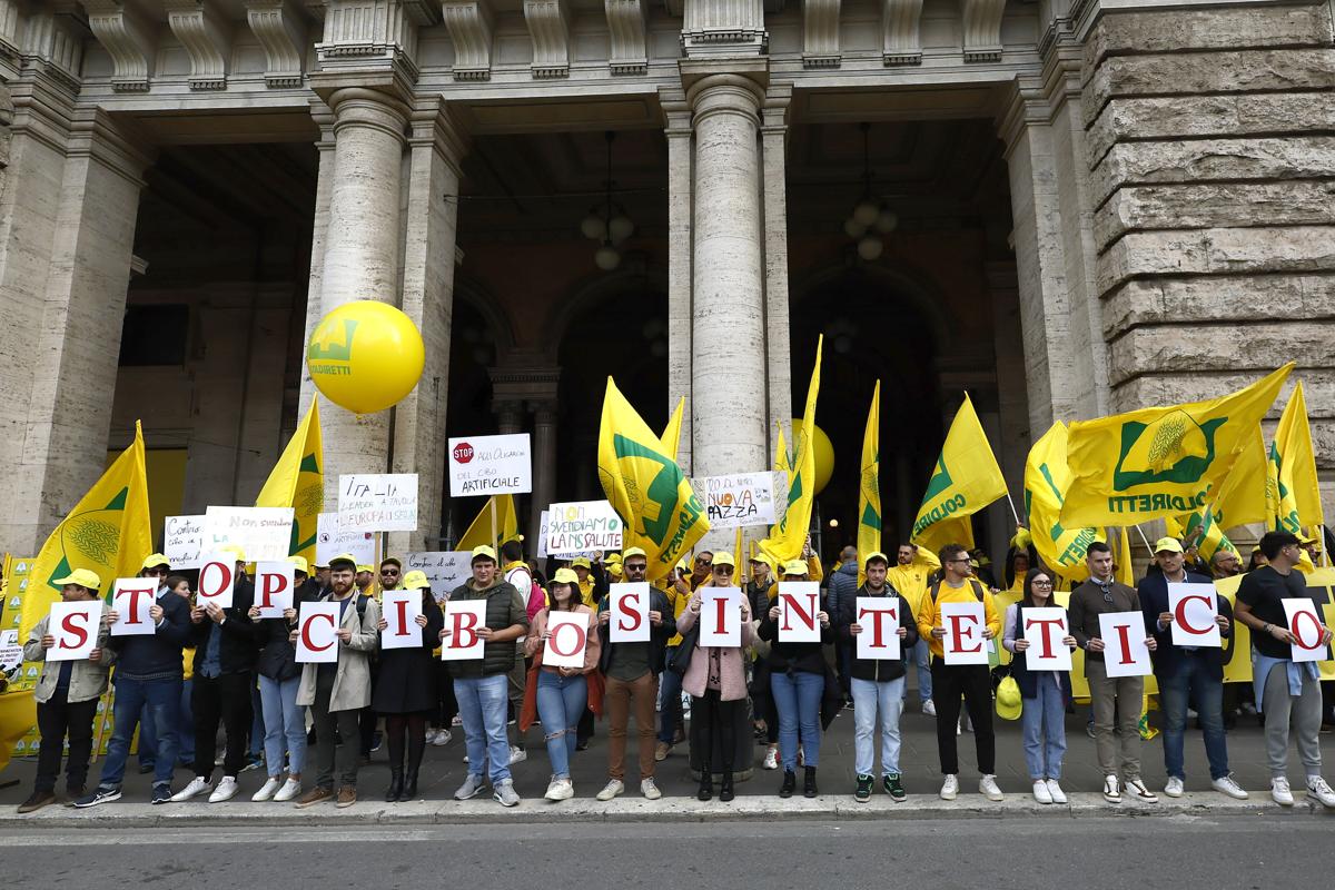 Lo stop alla carne coltivata è legge. L’Italia oscurantista scende in piazza Lo stop alla carne coltivata è legge. L’Italia oscurantista scende in piazza
