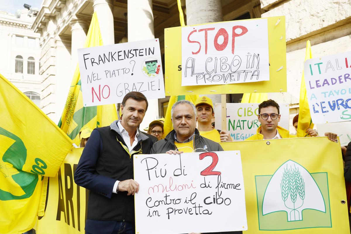 Lo stop alla carne coltivata è legge. L’Italia oscurantista scende in piazza Lo stop alla carne coltivata è legge. L’Italia oscurantista scende in piazza