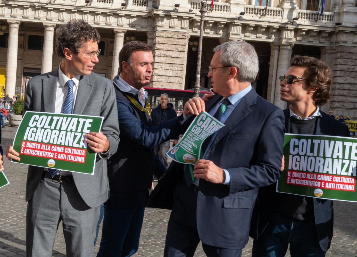 Carne coltivata, Cattaneo: “Legge fatta col volantino Coldiretti” Carne coltivata, Cattaneo: “Legge fatta col volantino Coldiretti”