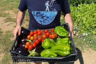 BF investe 25mln in Naturasì per potenziare l’offerta di prodotti biologici