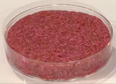 Carne coltivata, parla Biressi: unico scienziato in grado di produrla